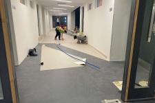 Báo Giá, Thi Công Sàn  Cuộn  Vinyl Mới Nhất