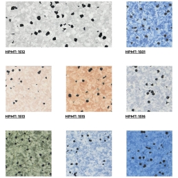 Sàn Vinyl Chống Tĩnh Điện