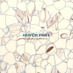 Sàn Vinyl Chống Tĩnh Điện ESD Work - 5005